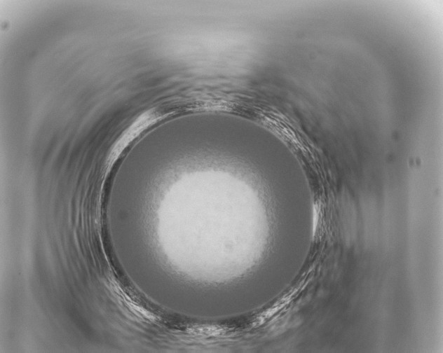 X0000087060195200704251038