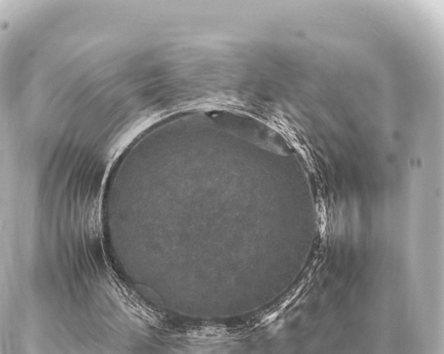 X0000087060196200704251038