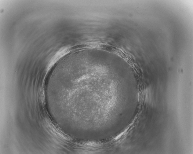 X0000087060198200704251038