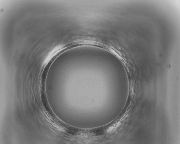 X0000087060199200704251037