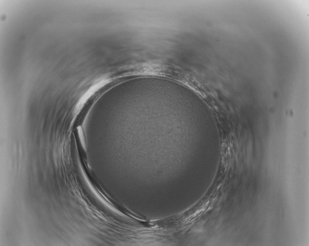 X0000087060200200704251037