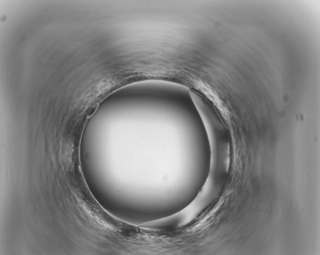 X0000087060201200704251037