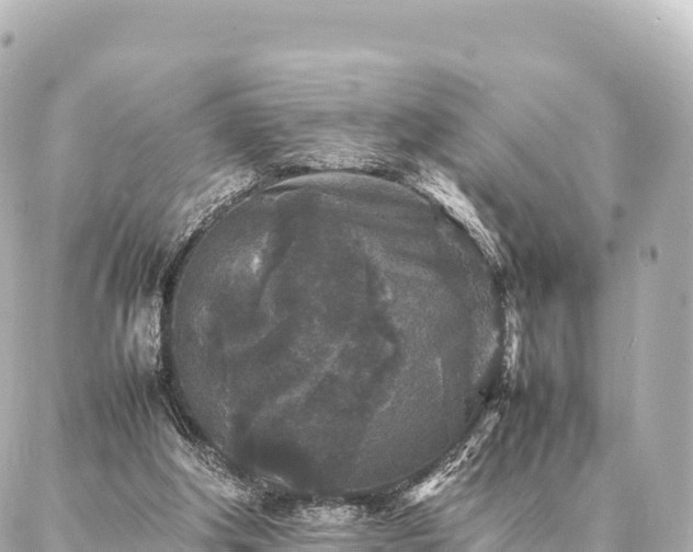 X0000087060202200704251037