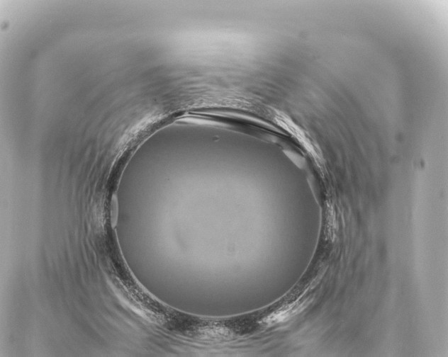 X0000087060203200704251037