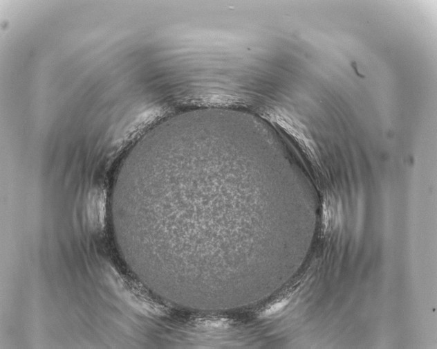 X0000087060206200704251037