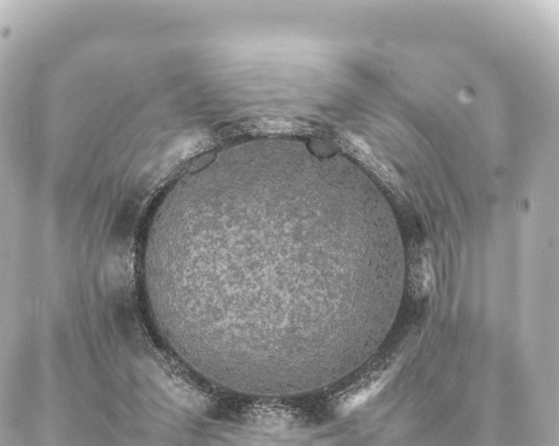 X0000087060207200704251037