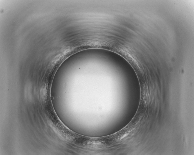 X0000087060208200704251037