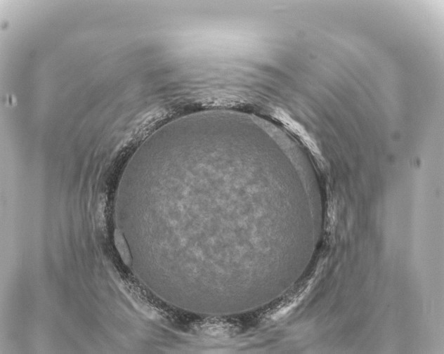 X0000087060209200704251037