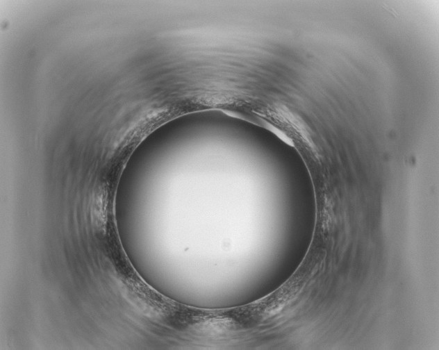 X0000087060210200704251037