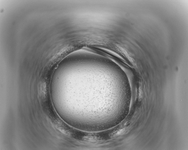 X0000087060211200704251037