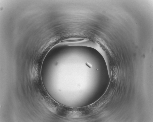 X0000087060212200704251037