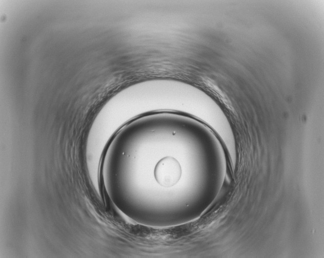 X0000087060213200704251037