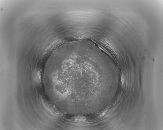 X0000087060214200704251037