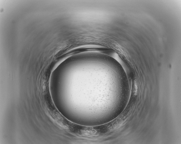 X0000087060215200704251037