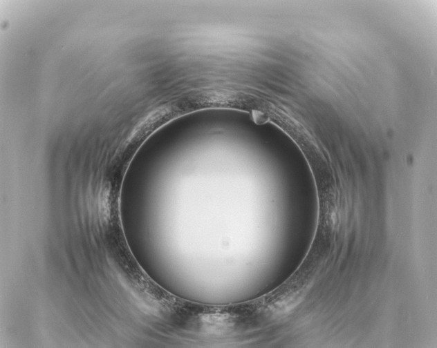 X0000087060216200704251037