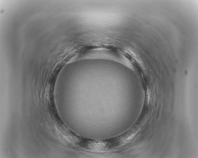 X0000087060217200704251037