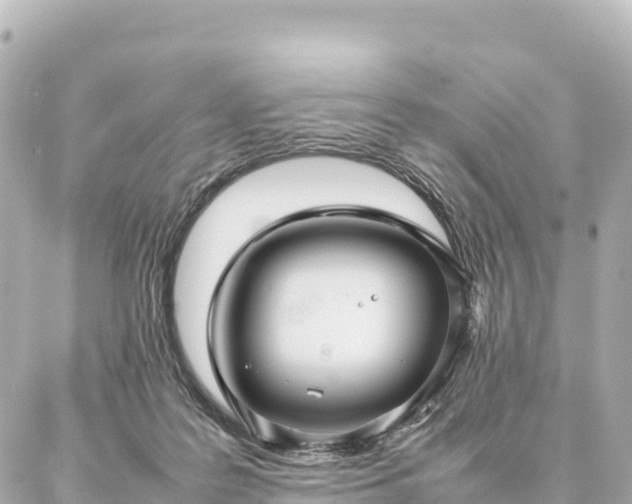 X0000087060219200704251037