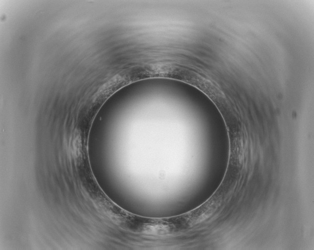 X0000087060220200704251037