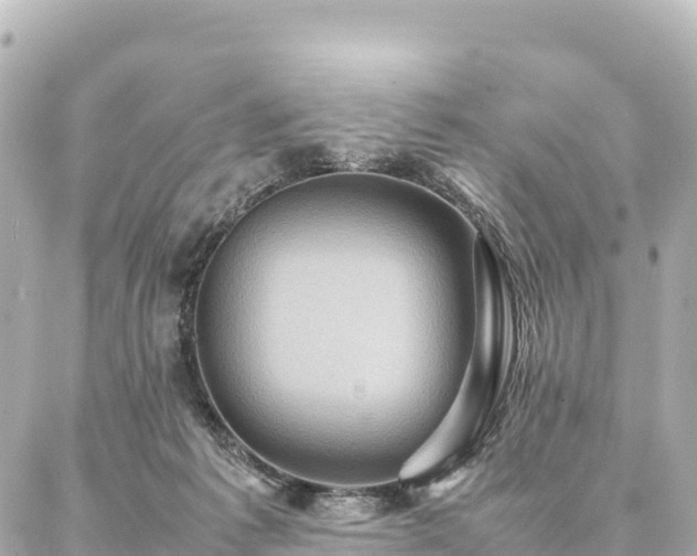 X0000087060221200704251037