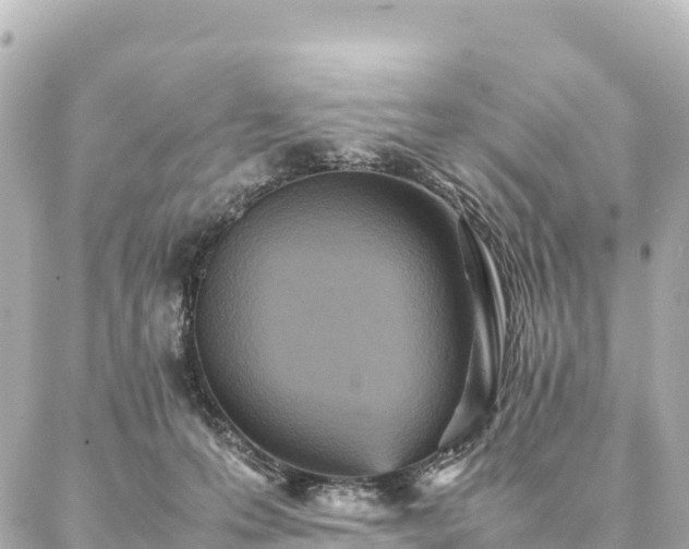 X0000087060223200704251037