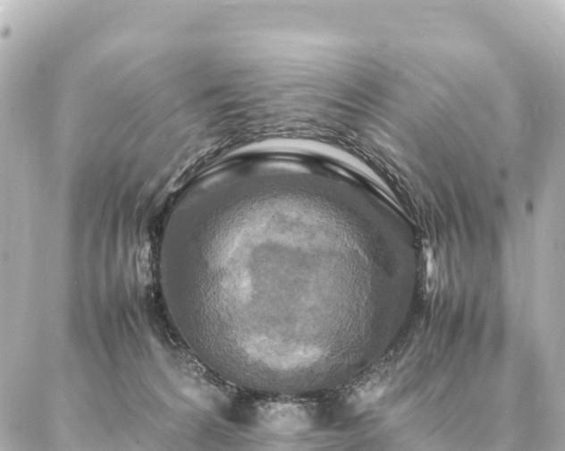 X0000087060224200704251037