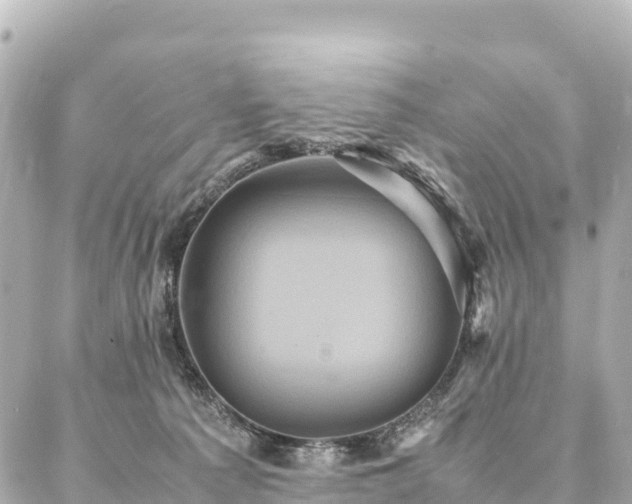 X0000087060225200704251037