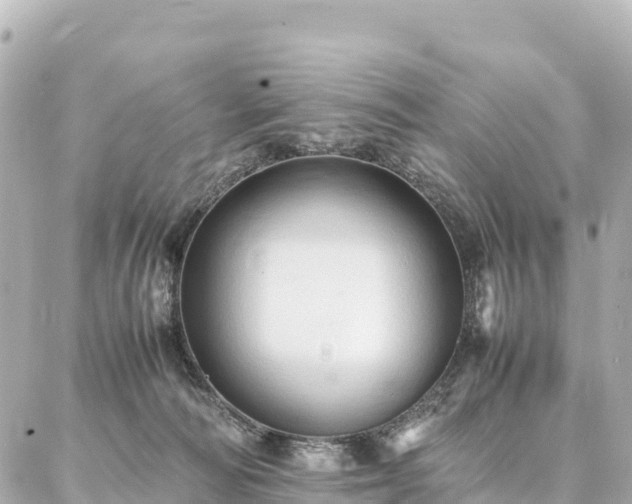 X0000087060226200704251037