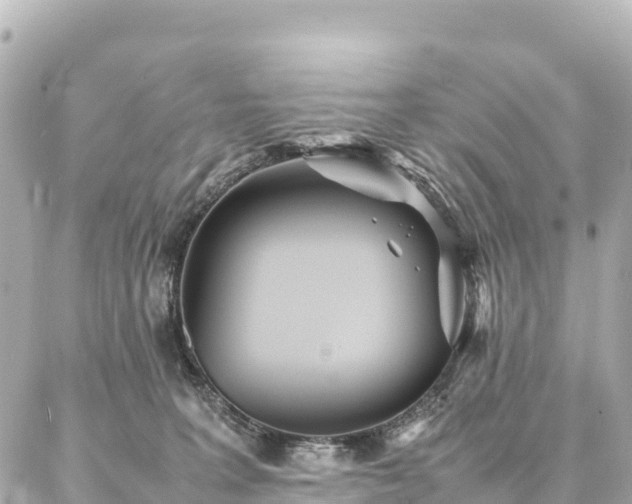 X0000087060227200704251037