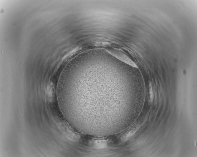 X0000087060228200704251037