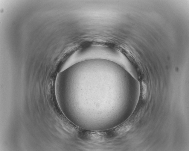 X0000087060229200704251037