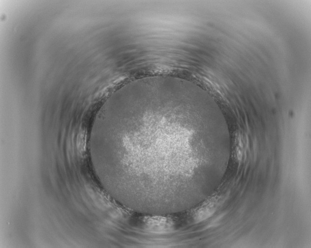 X0000087060230200704251037