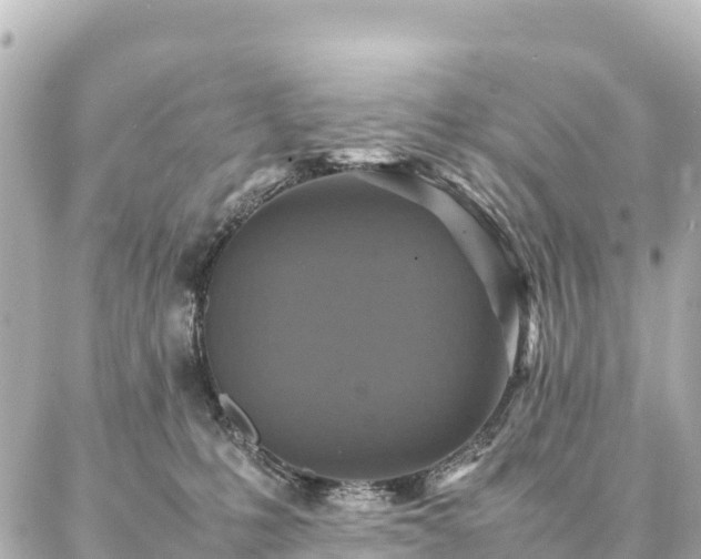 X0000087060231200704251037