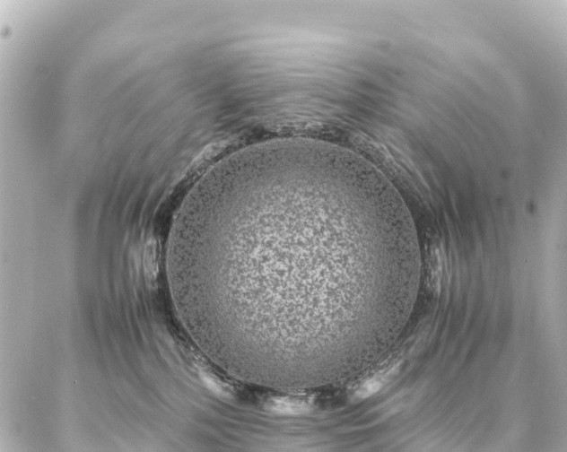 X0000087060232200704251037