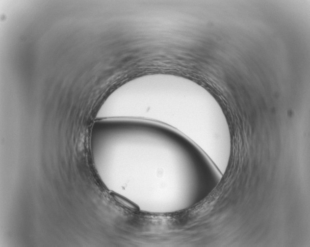 X0000087060233200704251037