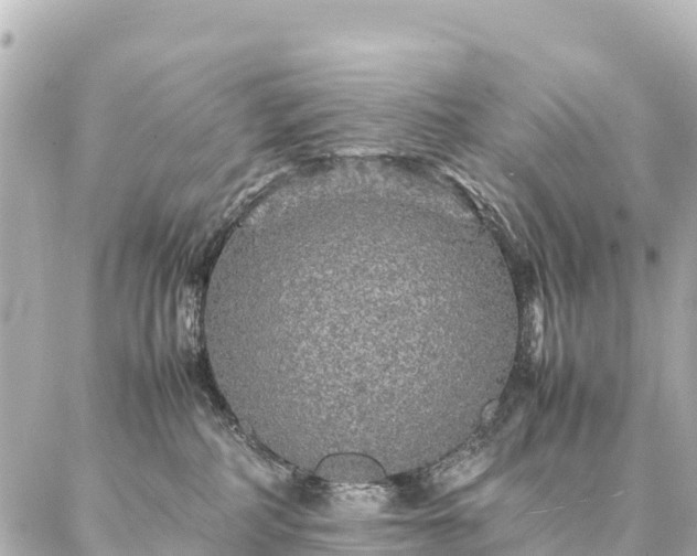 X0000087060234200704251037