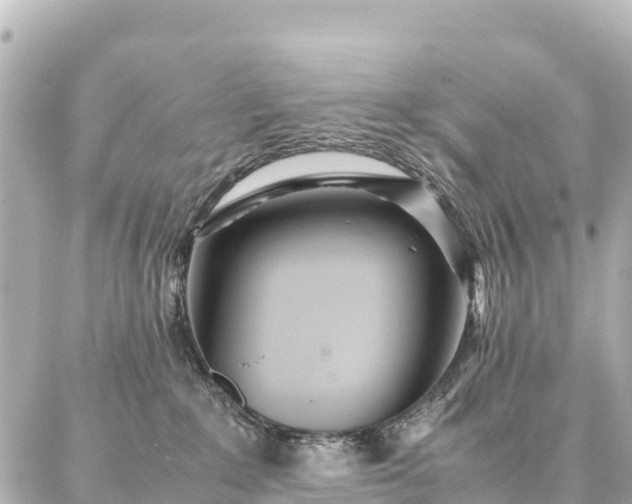 X0000087060235200704251037