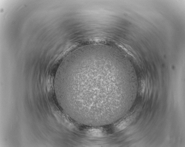 X0000087060236200704251037