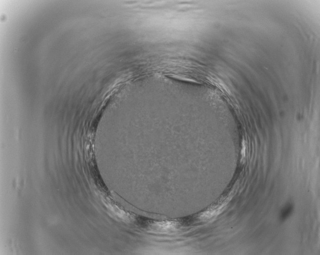 X0000087060237200704251037