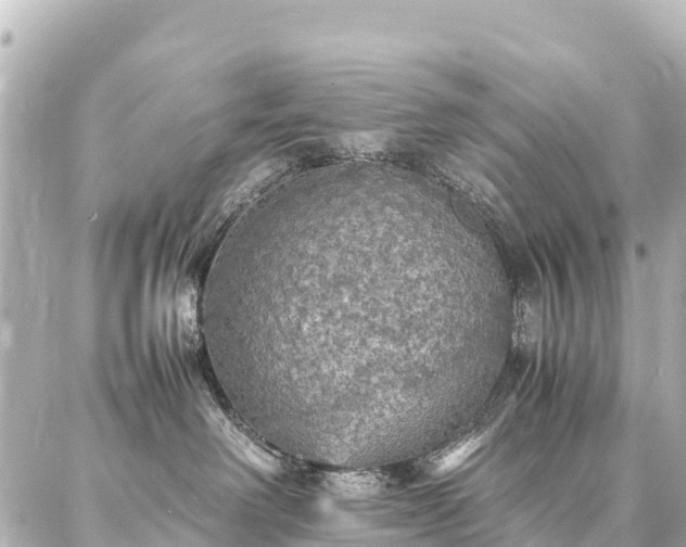 X0000087060238200704251037