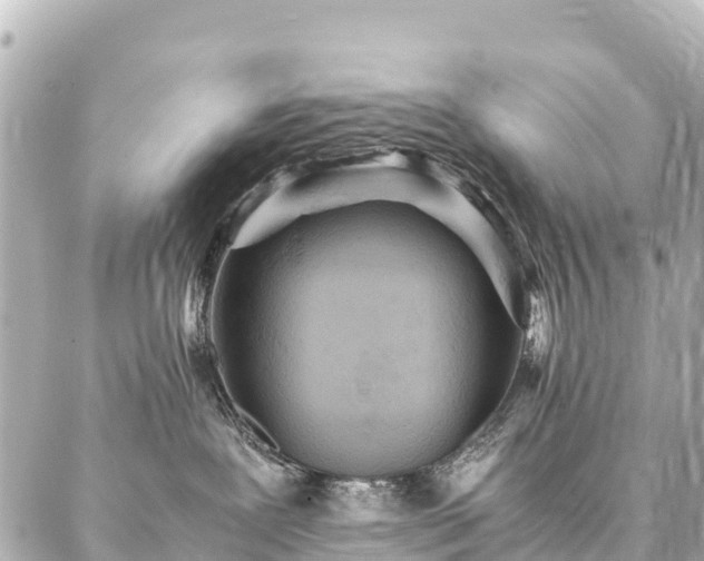 X0000087060239200704251037