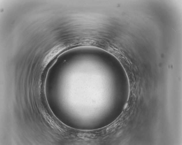 X0000087060242200704251036