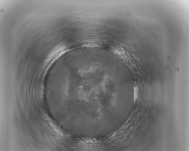 X0000087060243200704251036