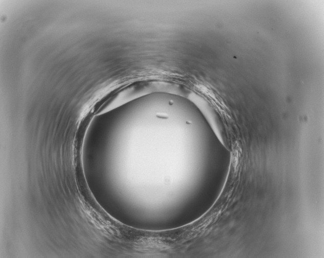 X0000087060244200704251036