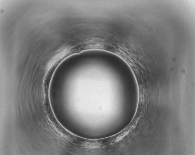 X0000087060245200704251036