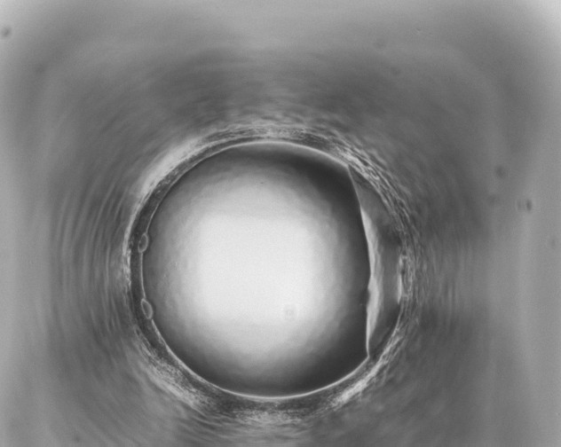 X0000087060246200704251036