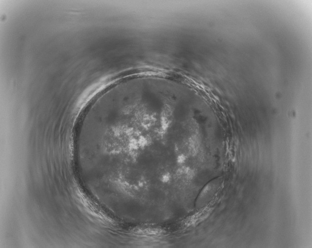 X0000087060247200704251036