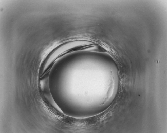 X0000087060248200704251036