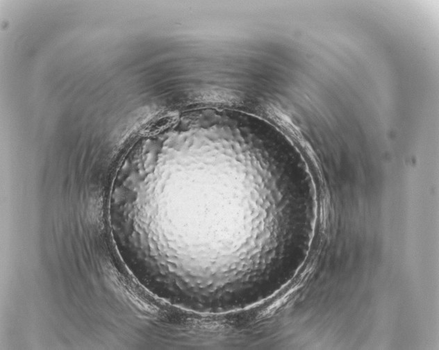 X0000087060249200704251036