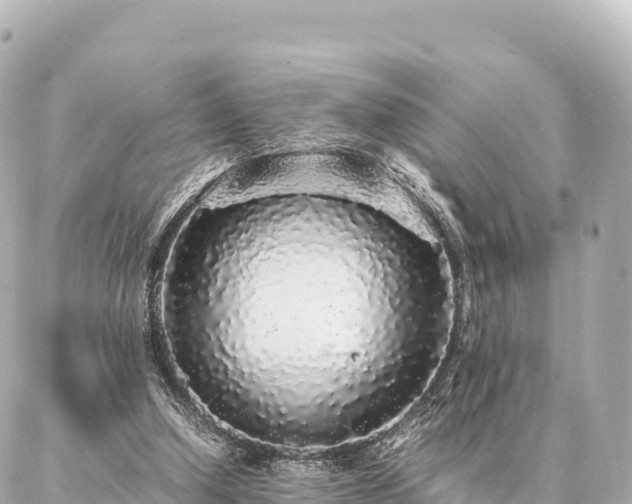 X0000087060250200704251036