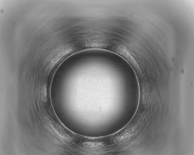 X0000087060251200704251036